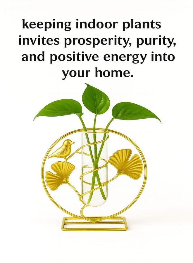 CentraLit مزهرية زجاجية للزراعة المائية من سنتراليت مع حامل معدني، مزهرية أنبوب اختبار للنباتات، مزهرية صغيرة للبراعم، مزهرية للزهور، ديكور داخلي، مكتب منزلي، حفل زفاف، حديقة - Image 3